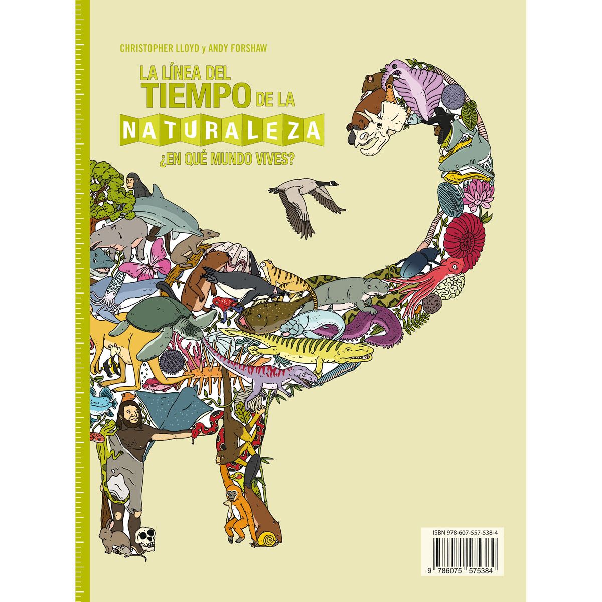 La gran línea del tiempo, (Paquete 3 volúmenes)