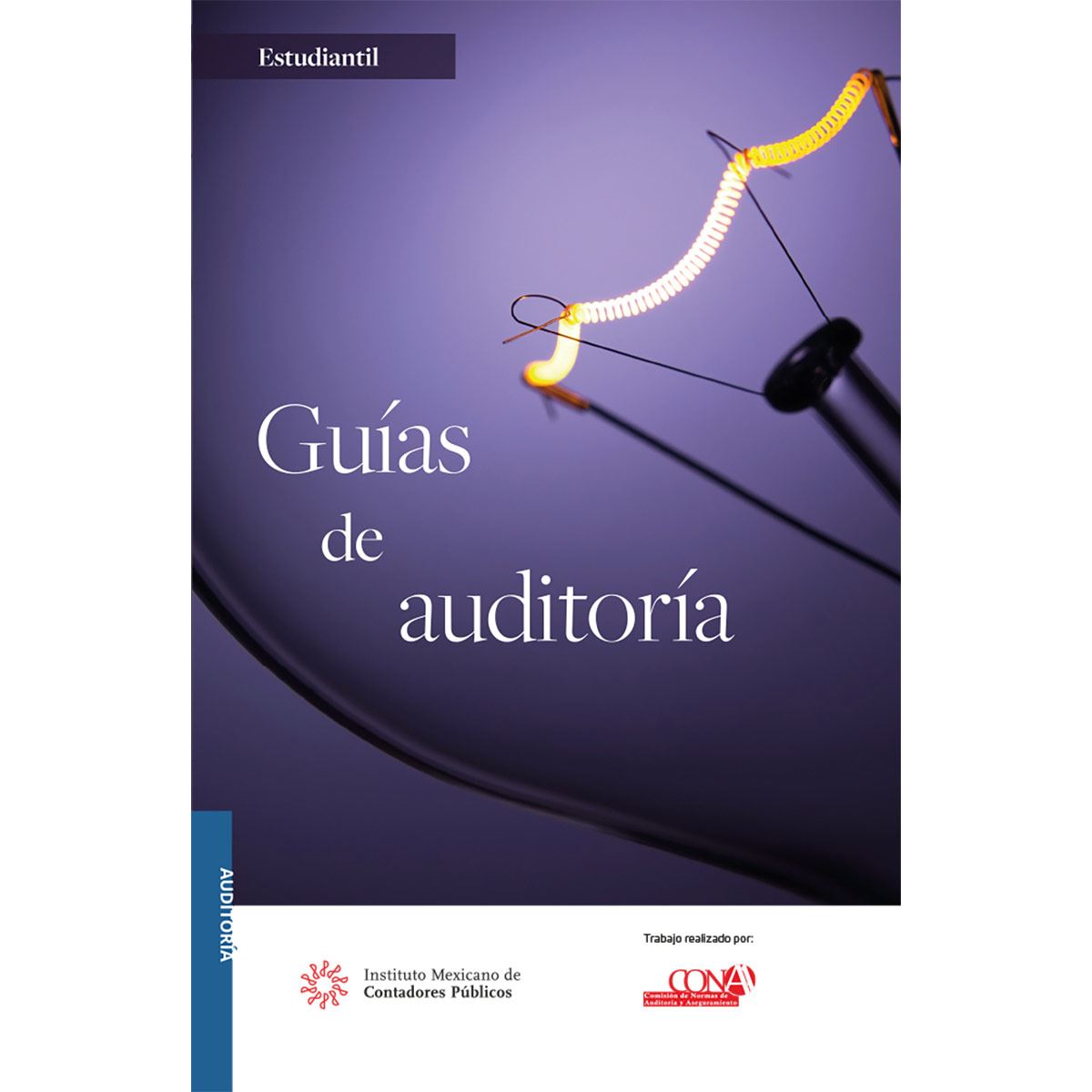 Guías de auditoría - versión estudiantil