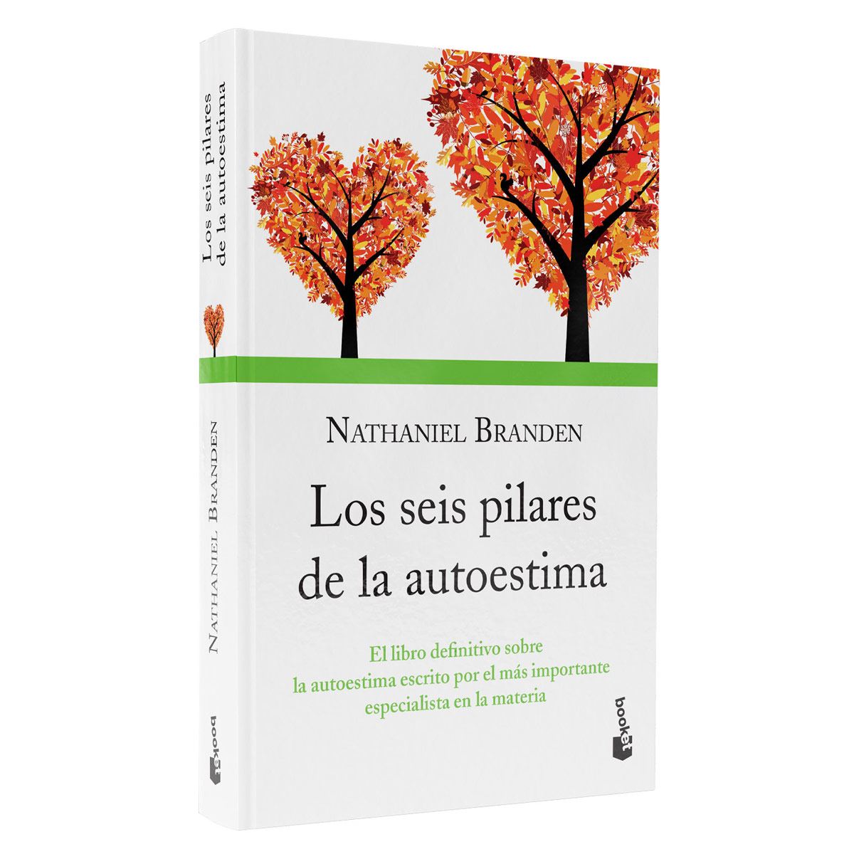 Los seis pilares de la autoestima TD