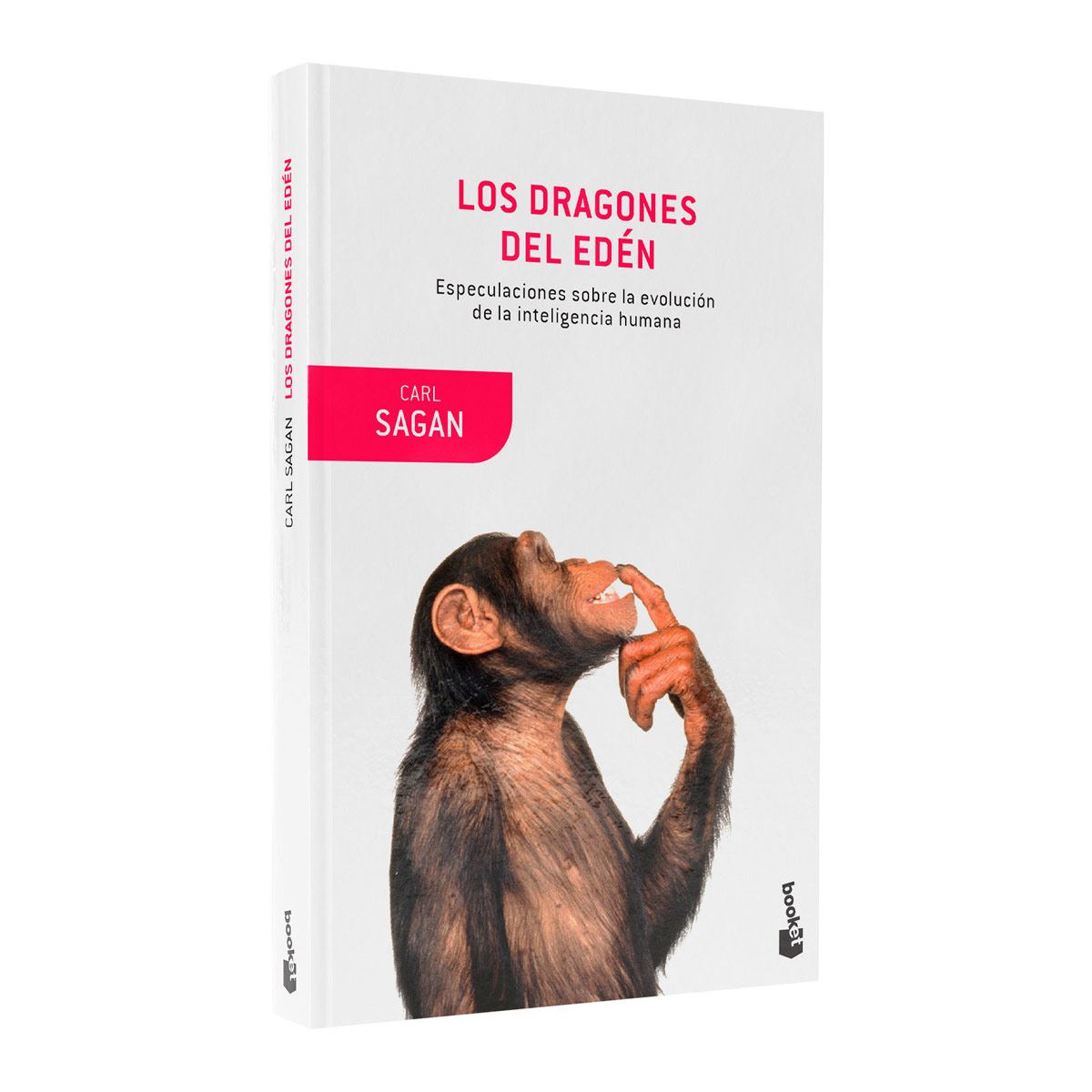 Los dragones del Edén TD