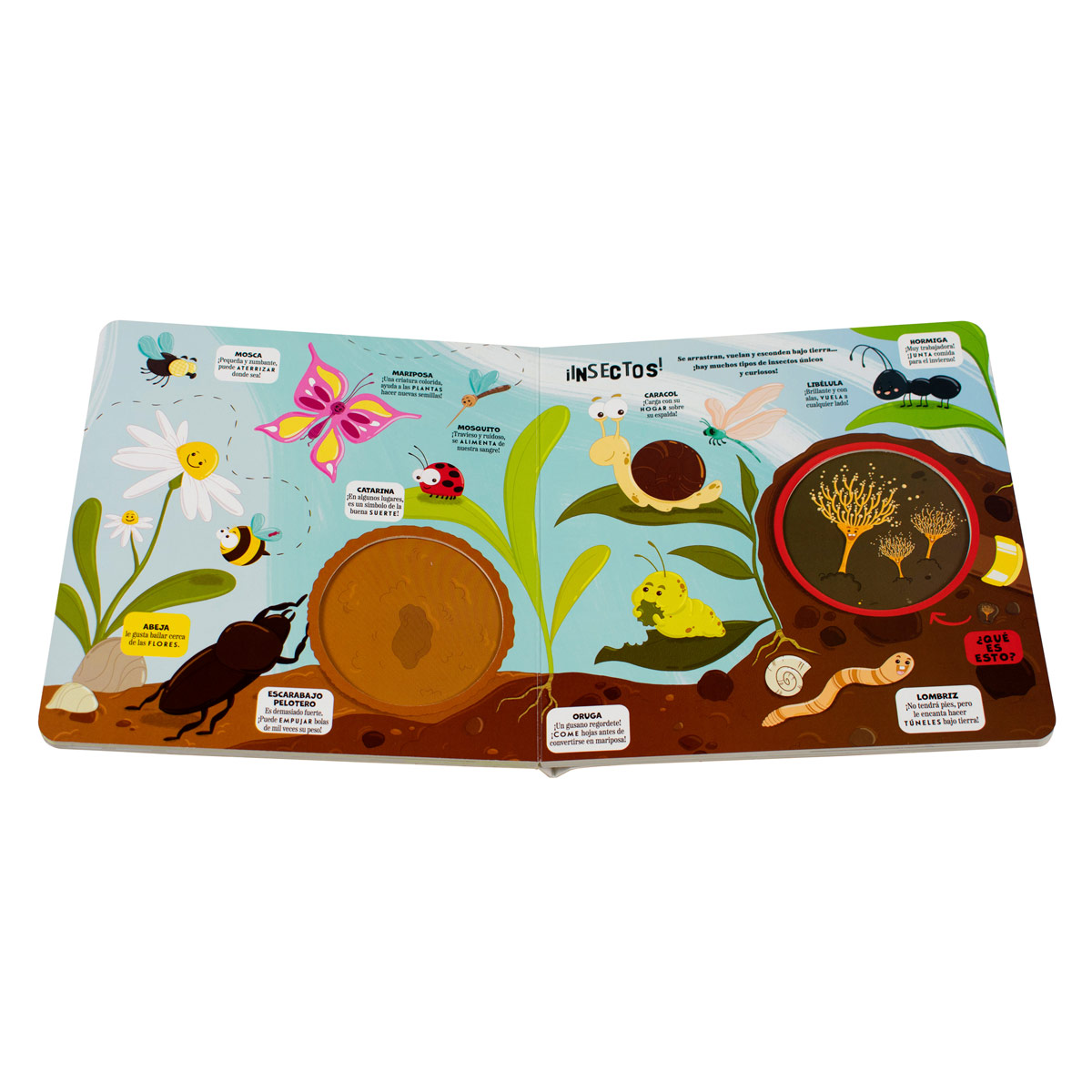 Mi libro con lupa desde la tierra hasta el mundo microscópico.