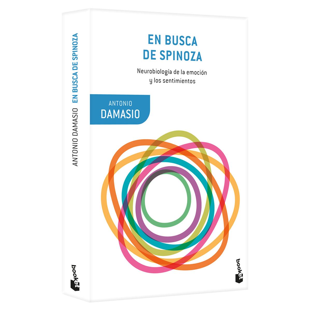 En Busca De Spinoza