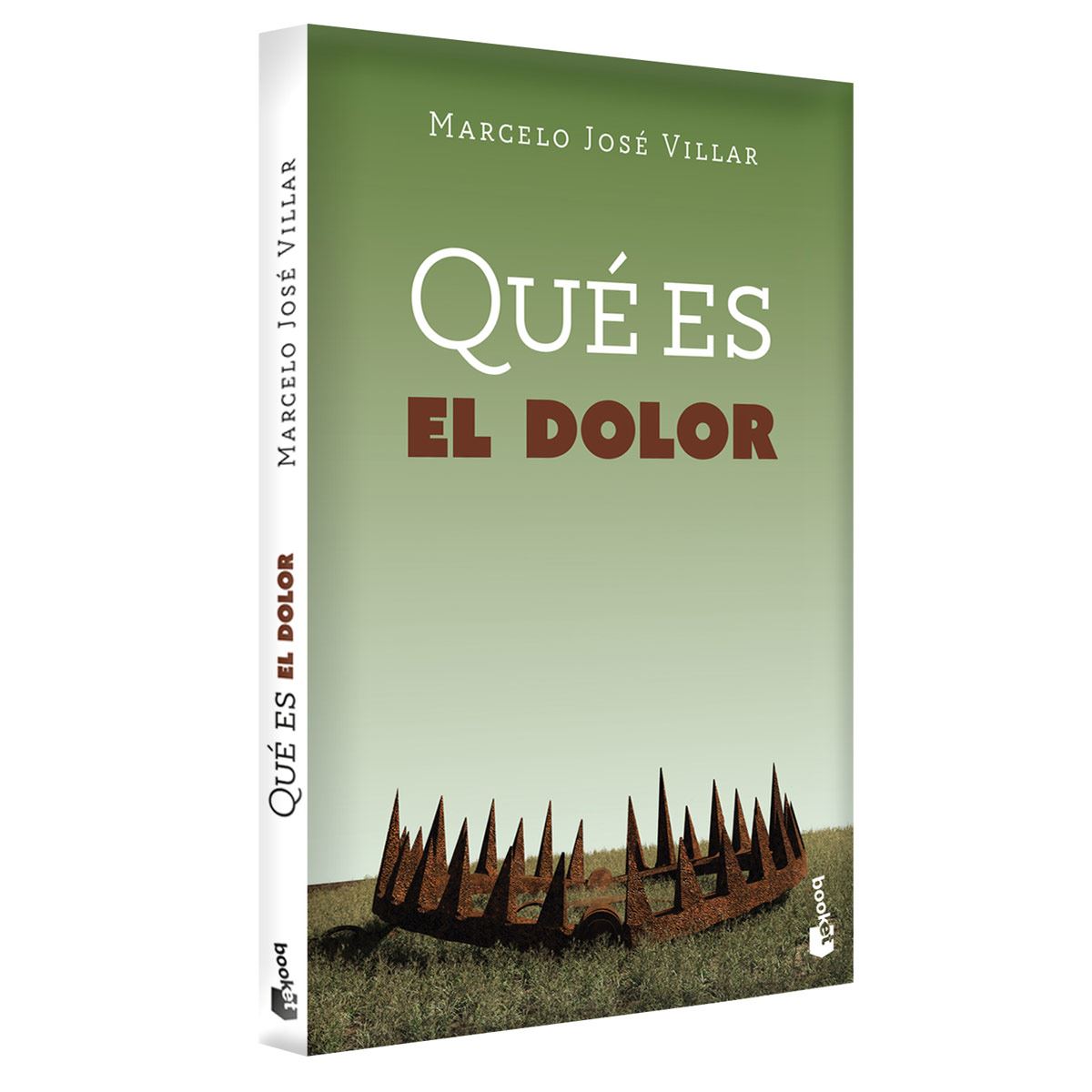 Qué Es El Dolor