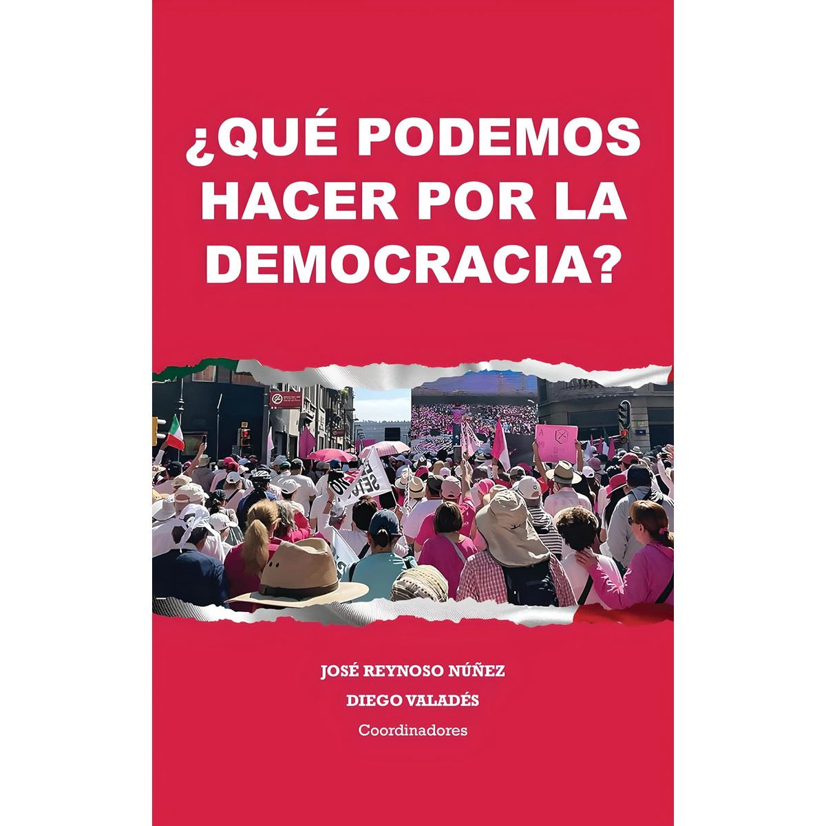 ¿Qué podemos hacer por la democracia?