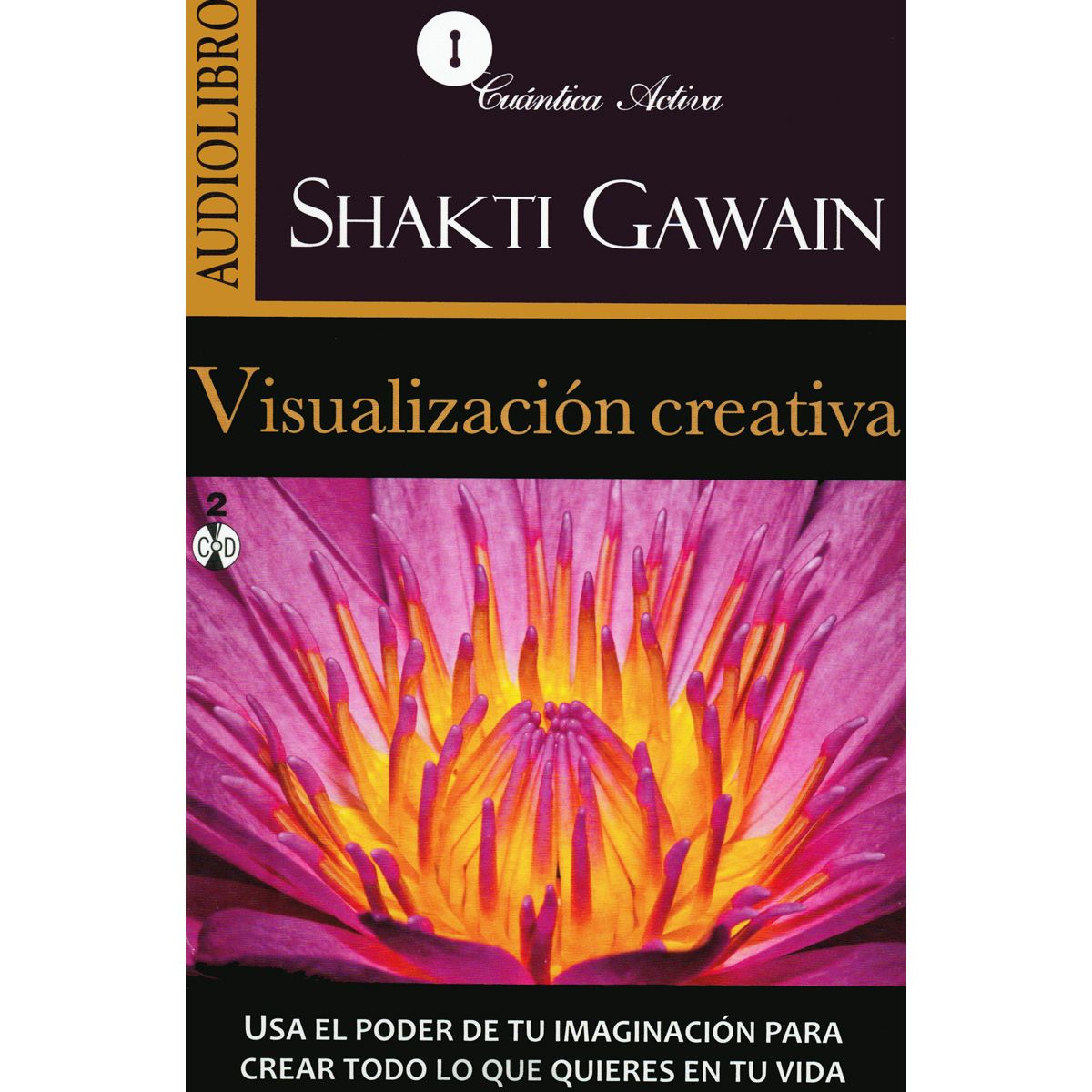 Visualización Creativa
