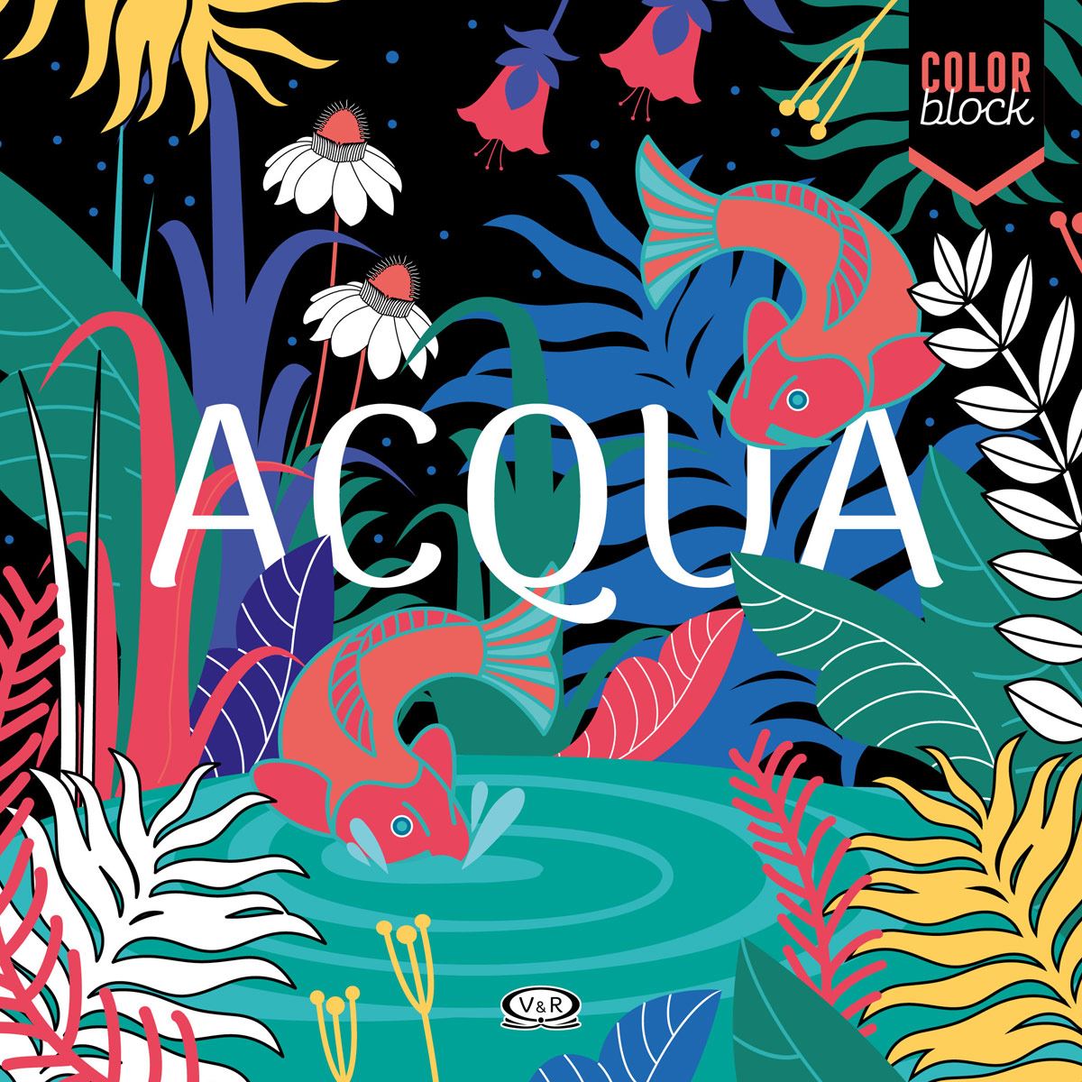 Aqua Color Block
