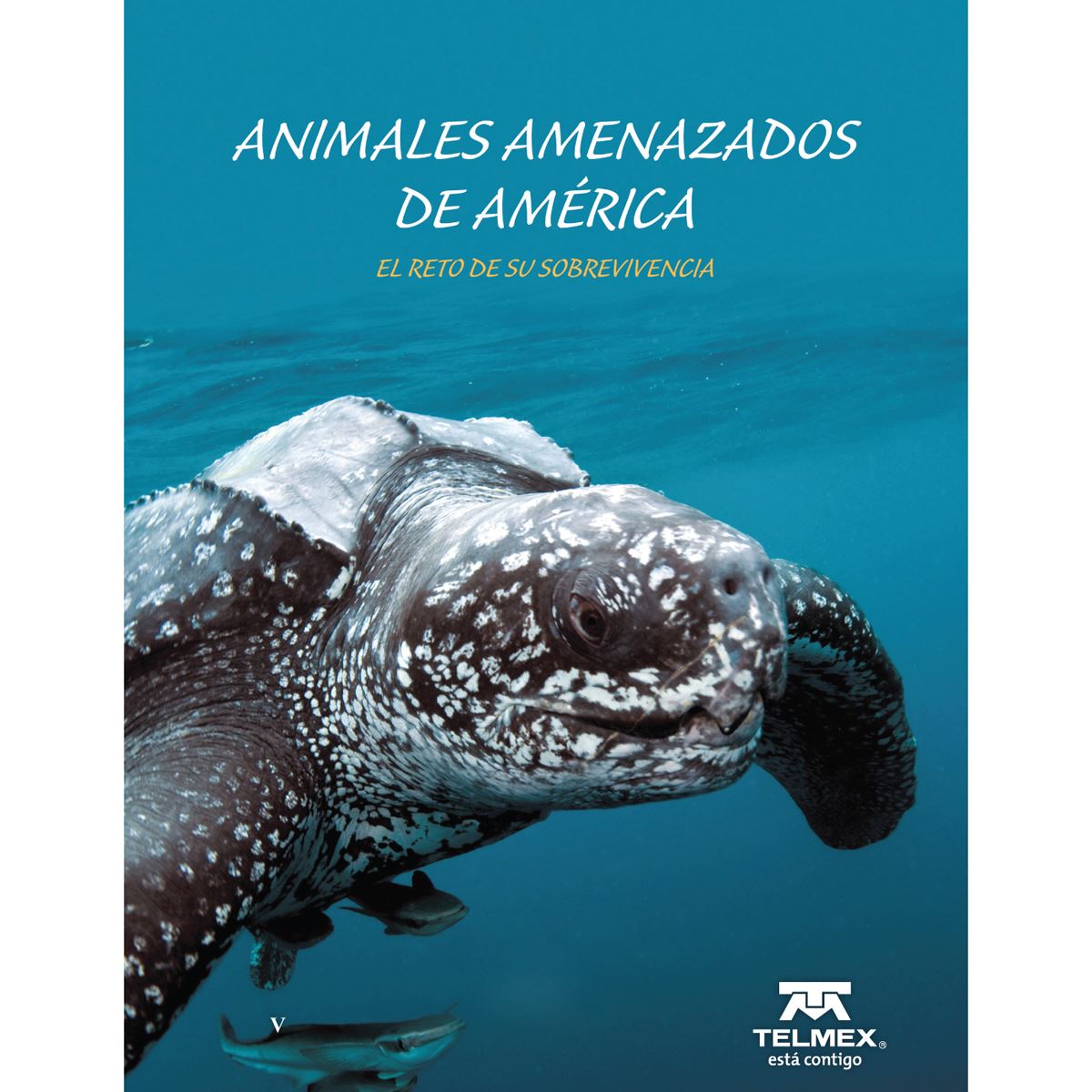 Animales Amenzados De America