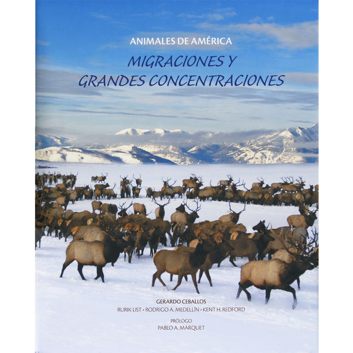 Animales de América, Migraciones y grandes concentraciones