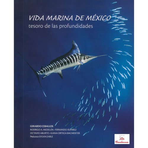 Vida marina de México, tesoro de las profundidades