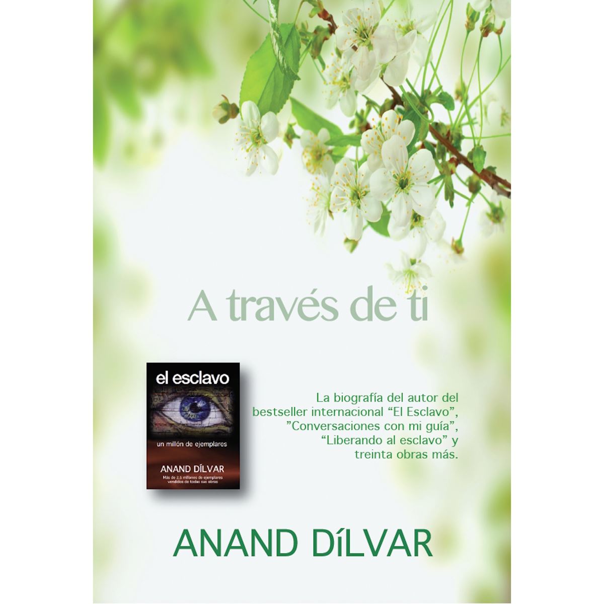 A Través De Ti