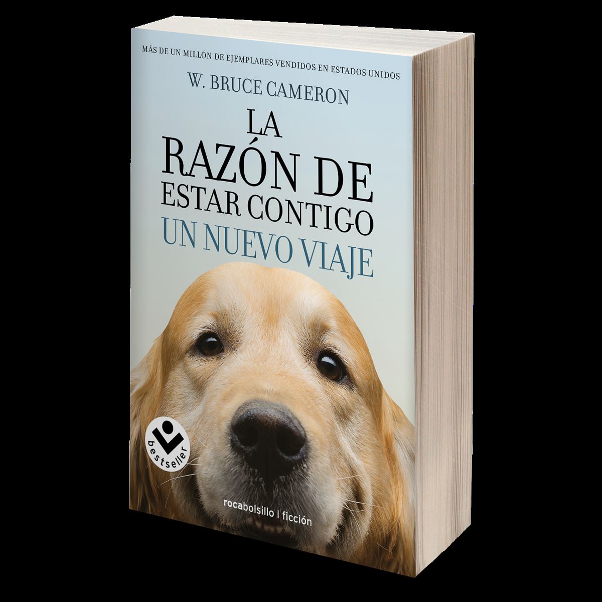 La razón de estar contigo 2. Un nuevo viaje