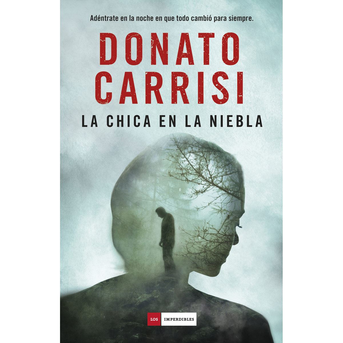 La chica en la niebla