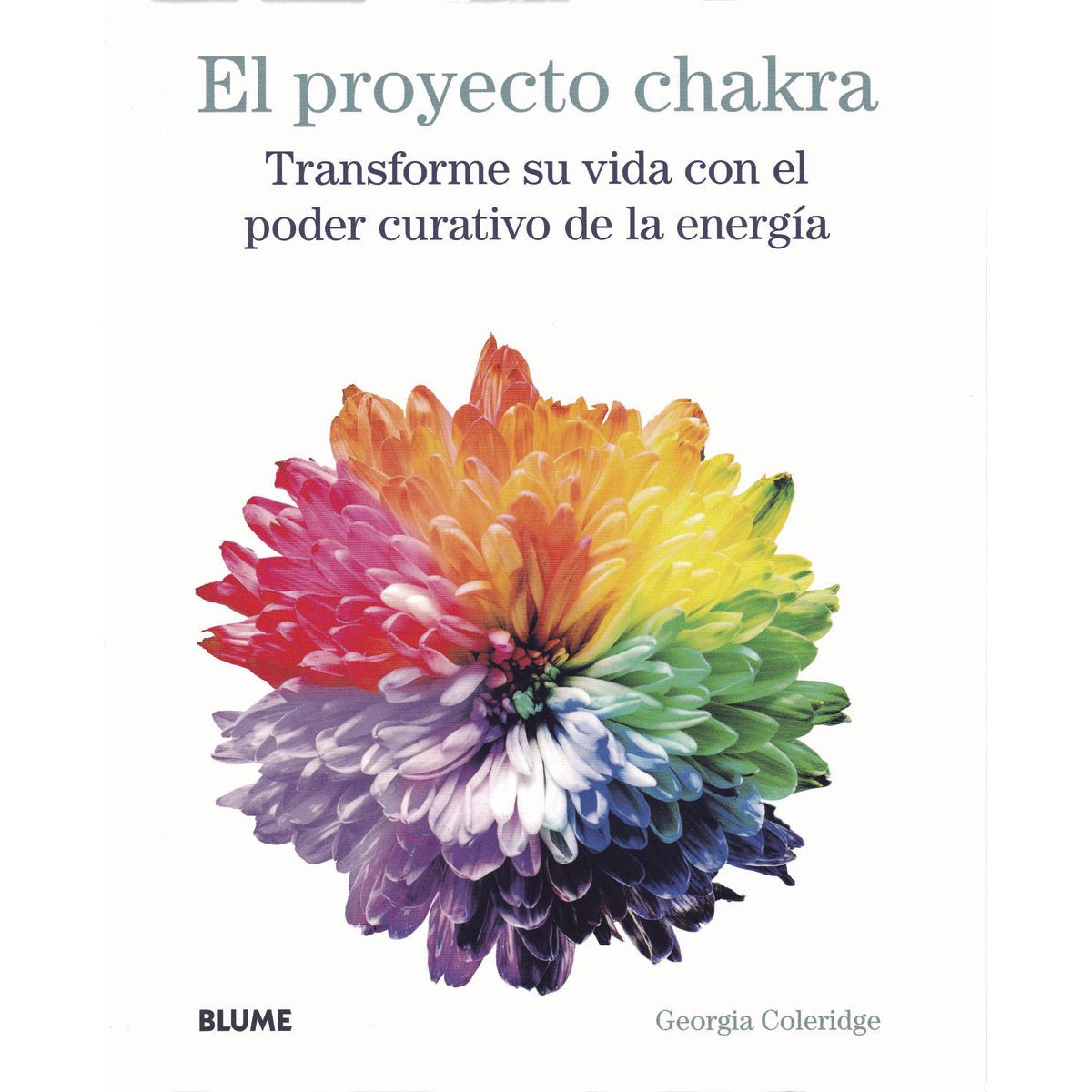 Proyecto Chakra