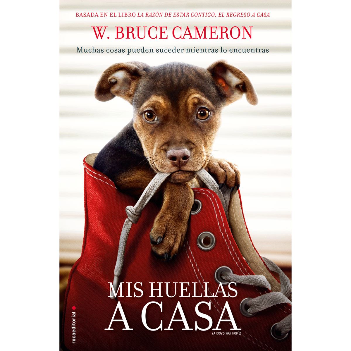 Mis Huellas A Casa.