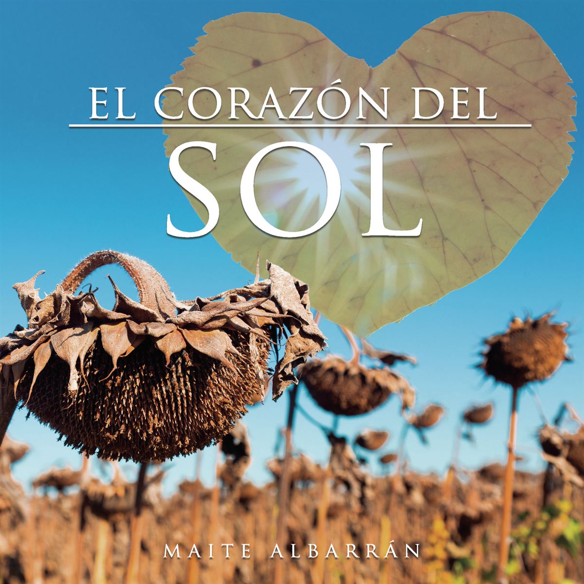El corazón del Sol