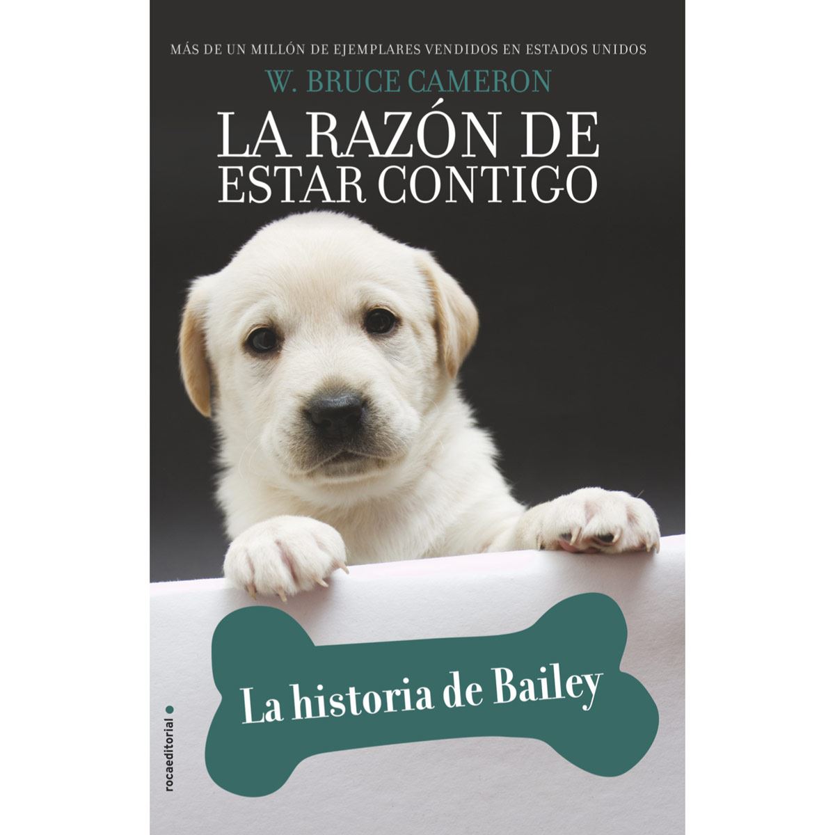 La historia de baley. La razón de estar contigo