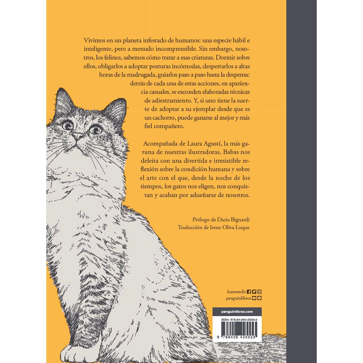 Cómo domesticar a un humano