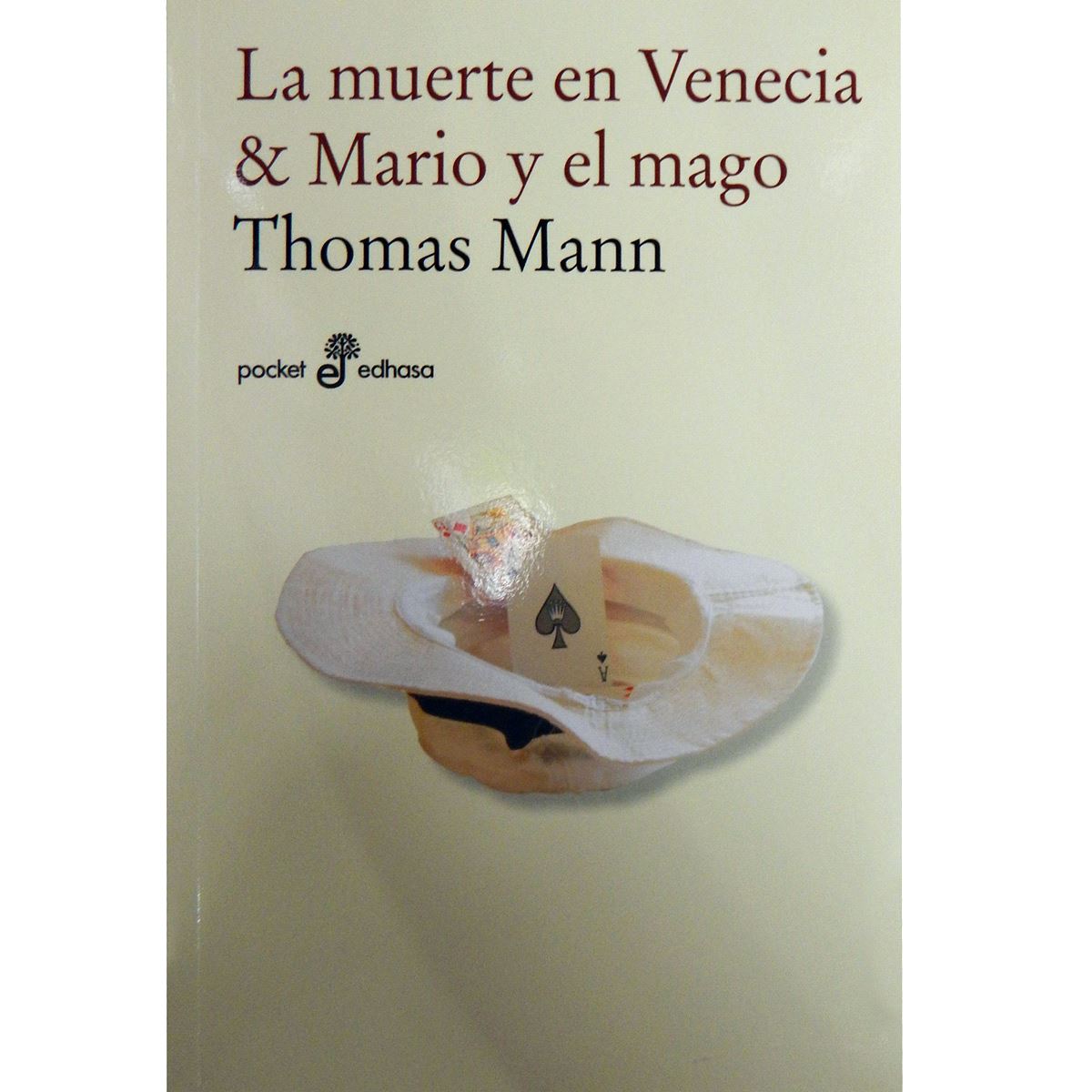 La Muerte En Venecia