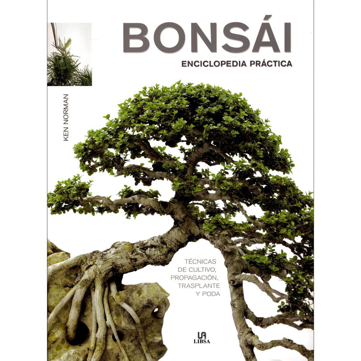 Bonsai. Enciclopedia Práctica