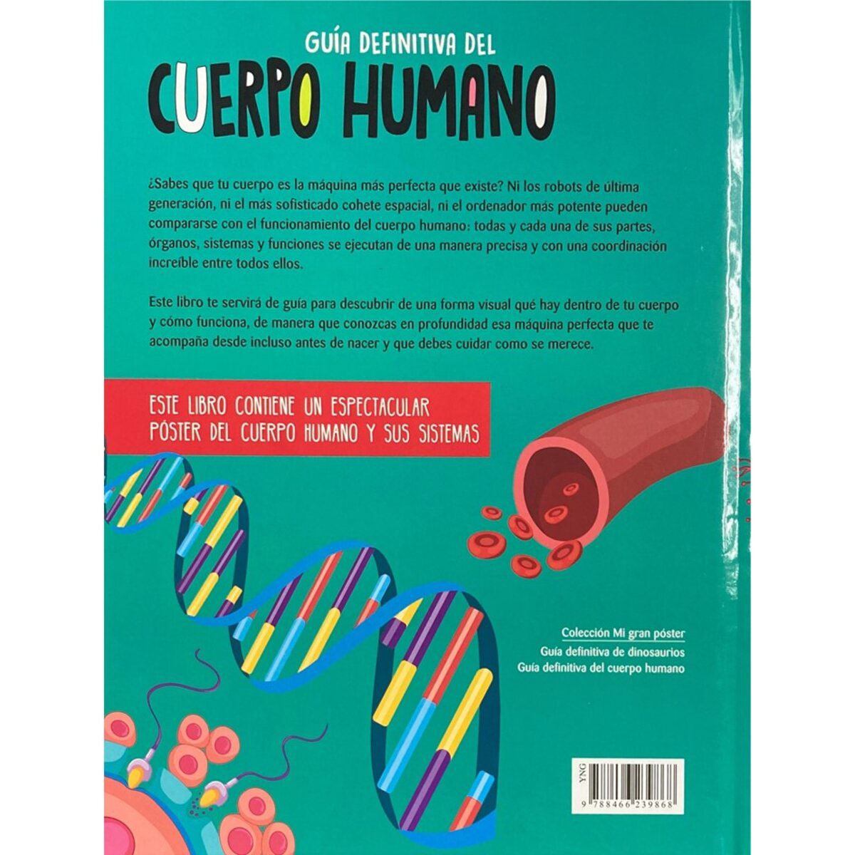 Guía definitiva del cuerpo humano