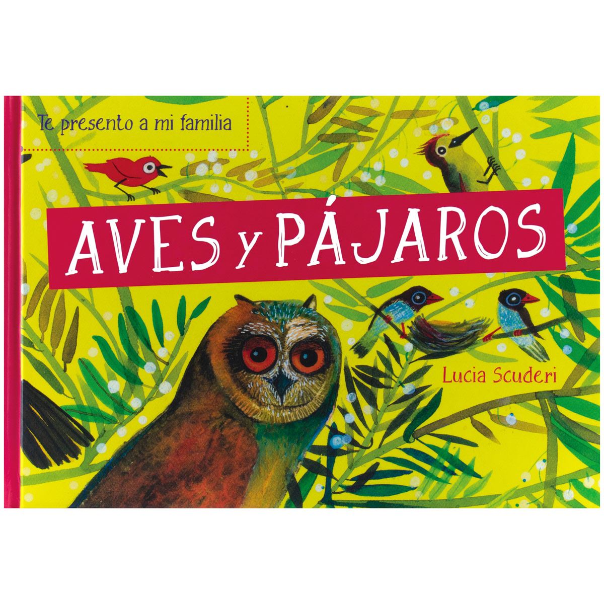 Te presento a mi familia: aves y pájaros