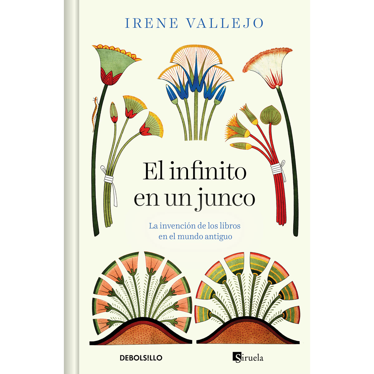 El infinito en un junco