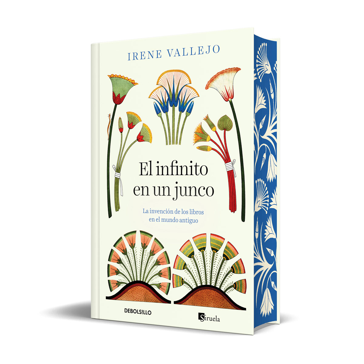 El infinito en un junco