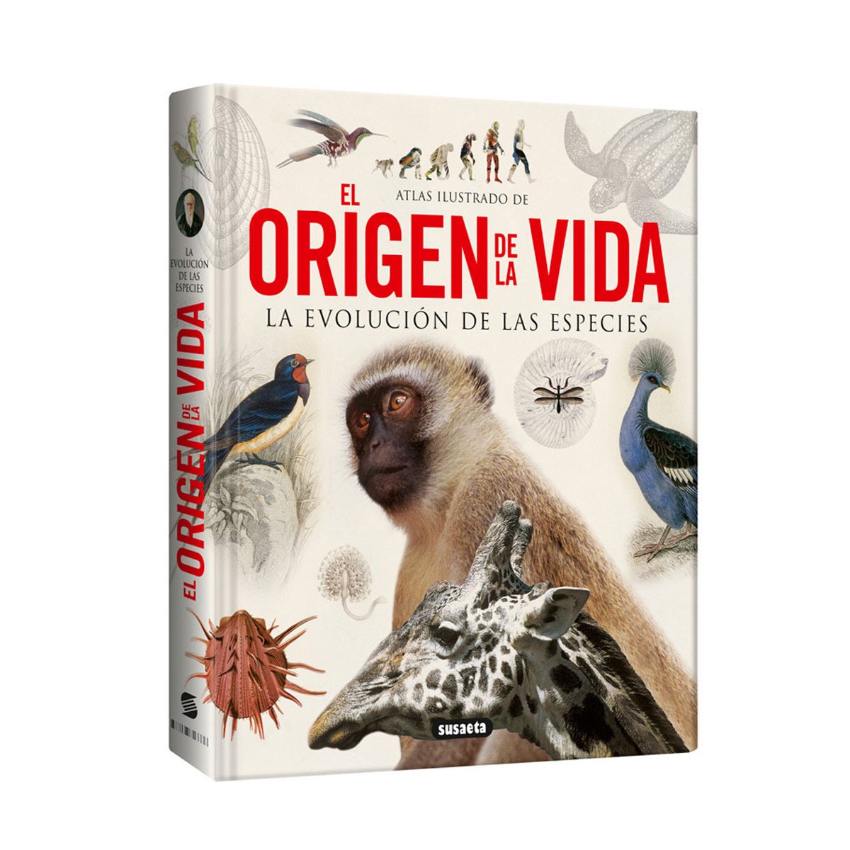 Atlas Ilustrado De El Origen De La Vida