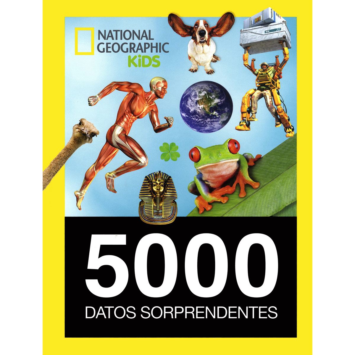 5000 datos sorprendentes