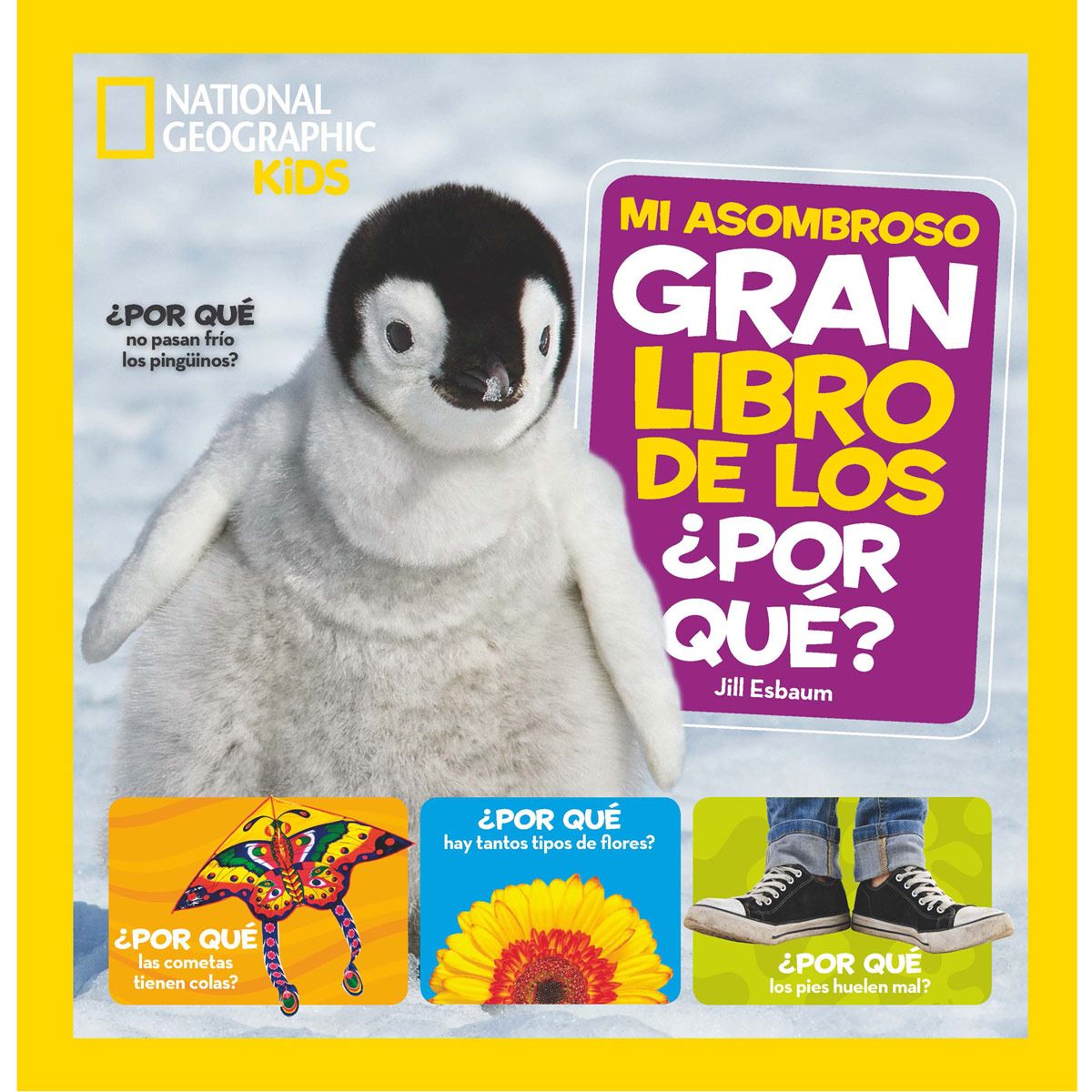 Mi Asombroso Gran Libro De Los ¿por Qué?