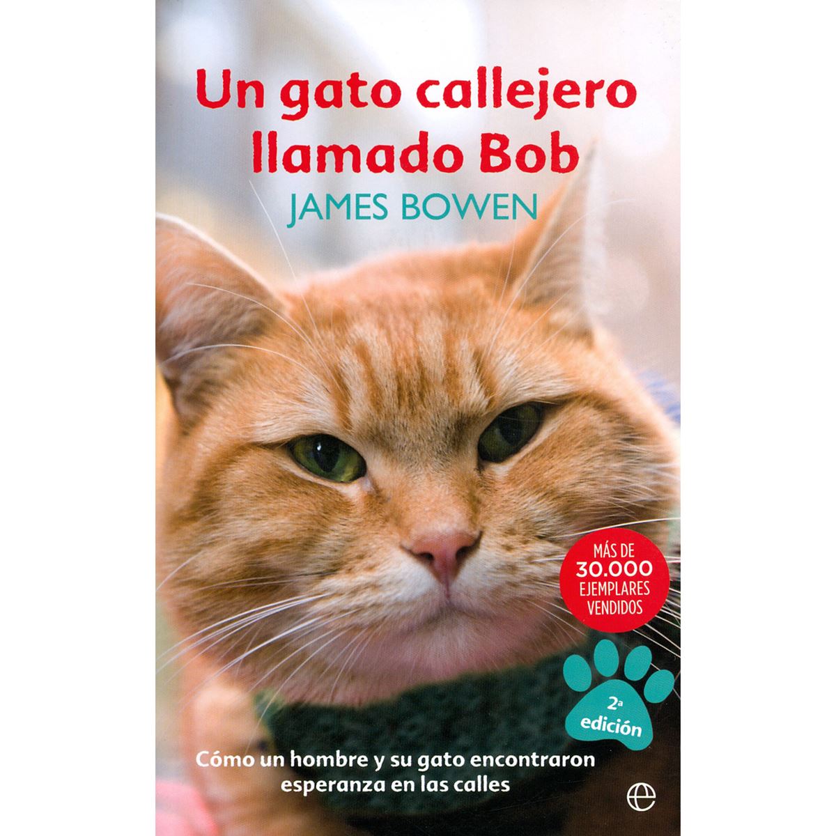 Un Gato Callejero Llamado Bob