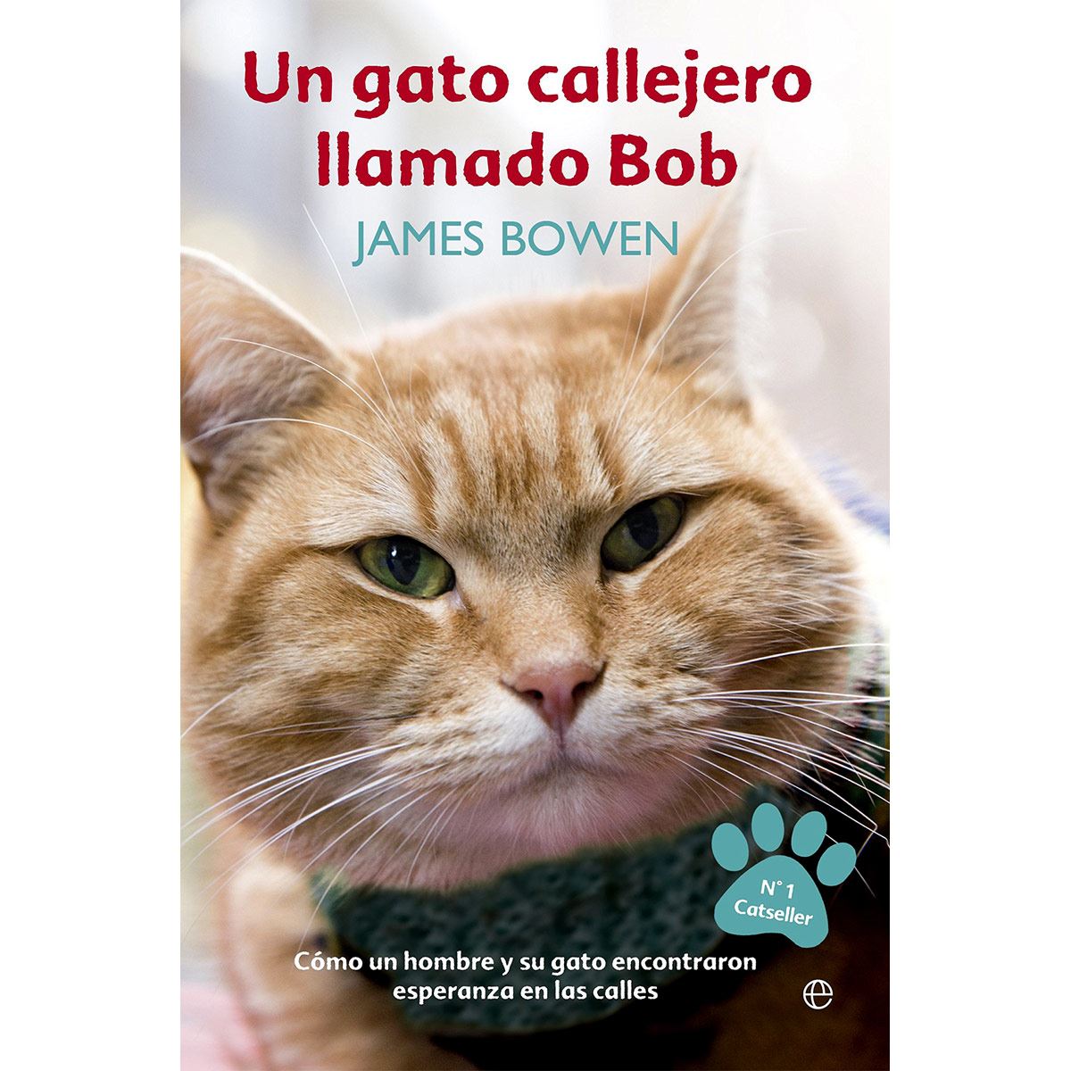 Un Gato Callejero Llamado Bob