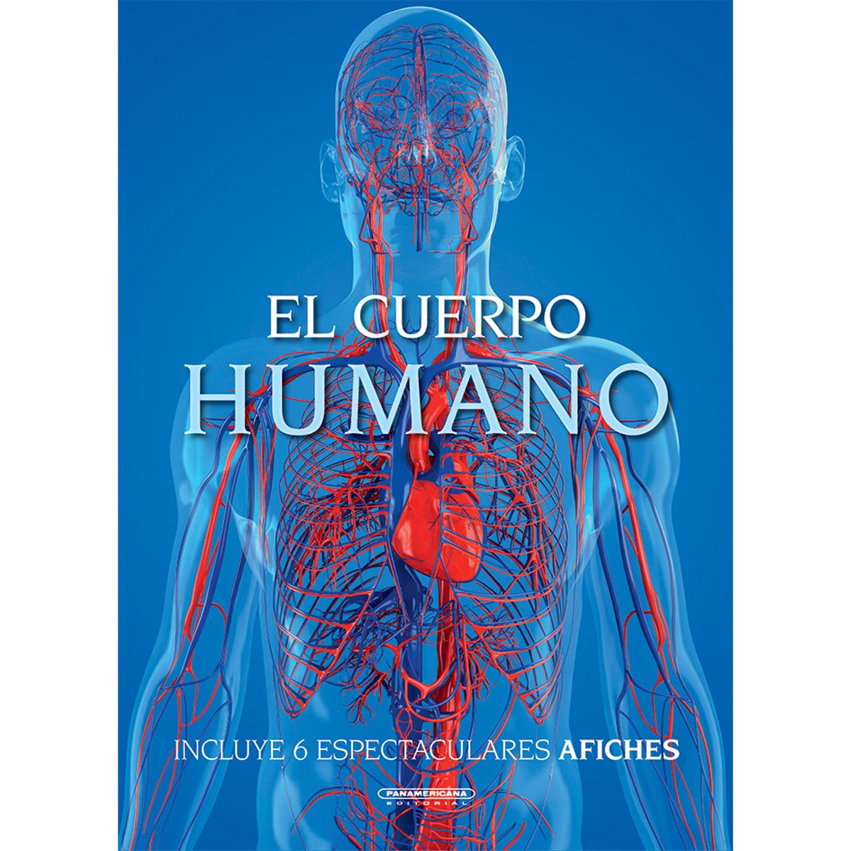 El cuerpo humano