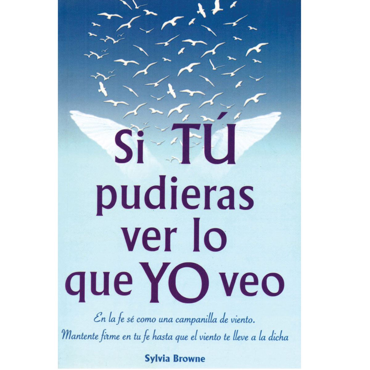 Si tu pudieras ver lo que yo veo