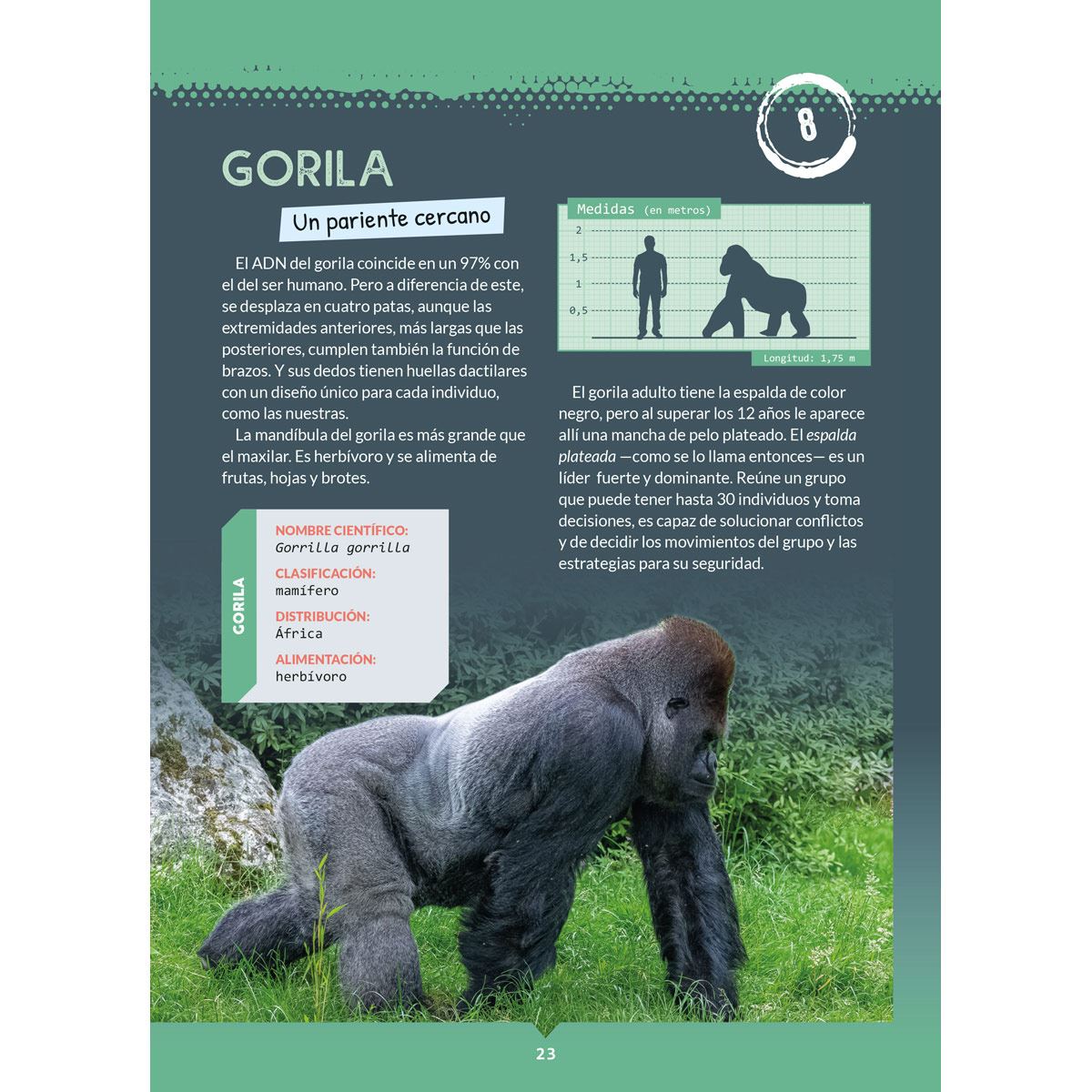 365 animales terrestres y marinos