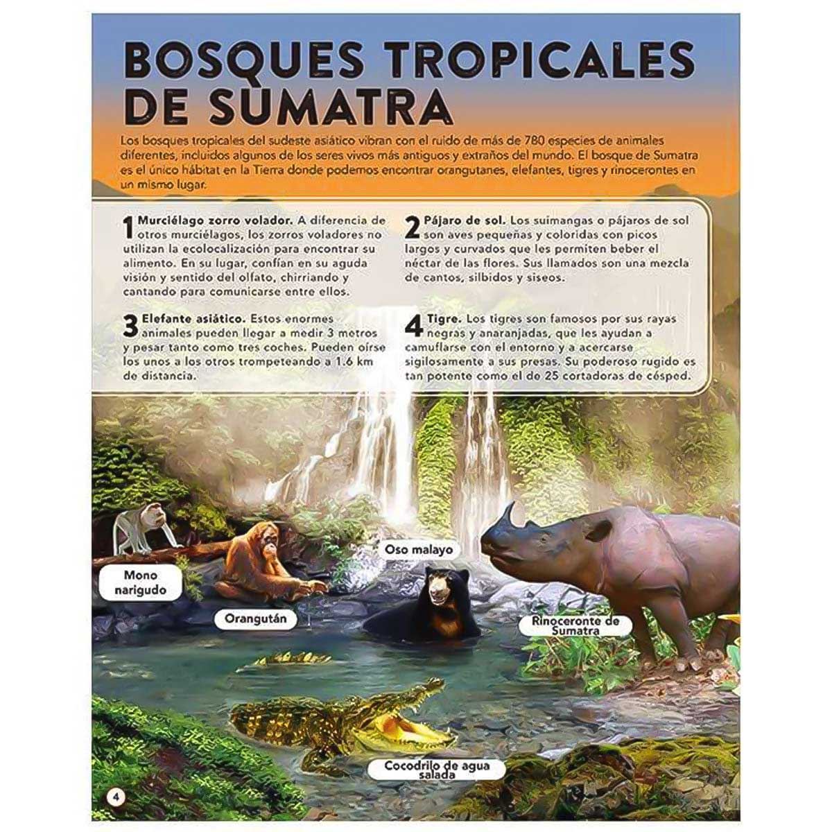 Reino animal 50 sonidos