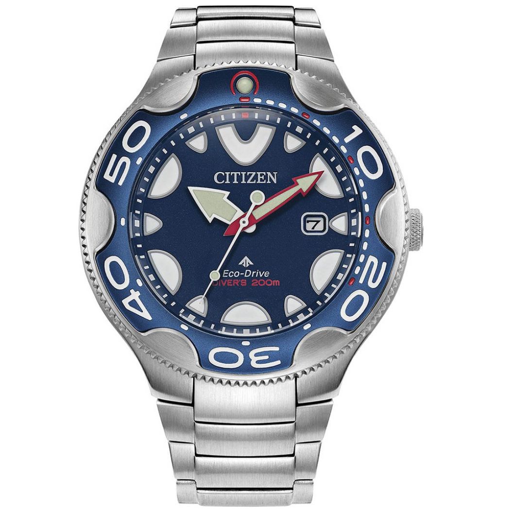 Sears citizen outlet watches