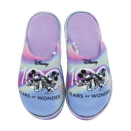 Pantuflas De Disney