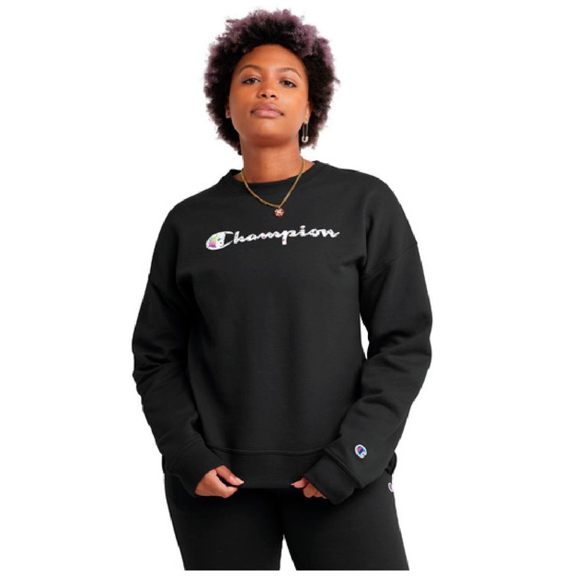 Champion on sale sweatshirt sears