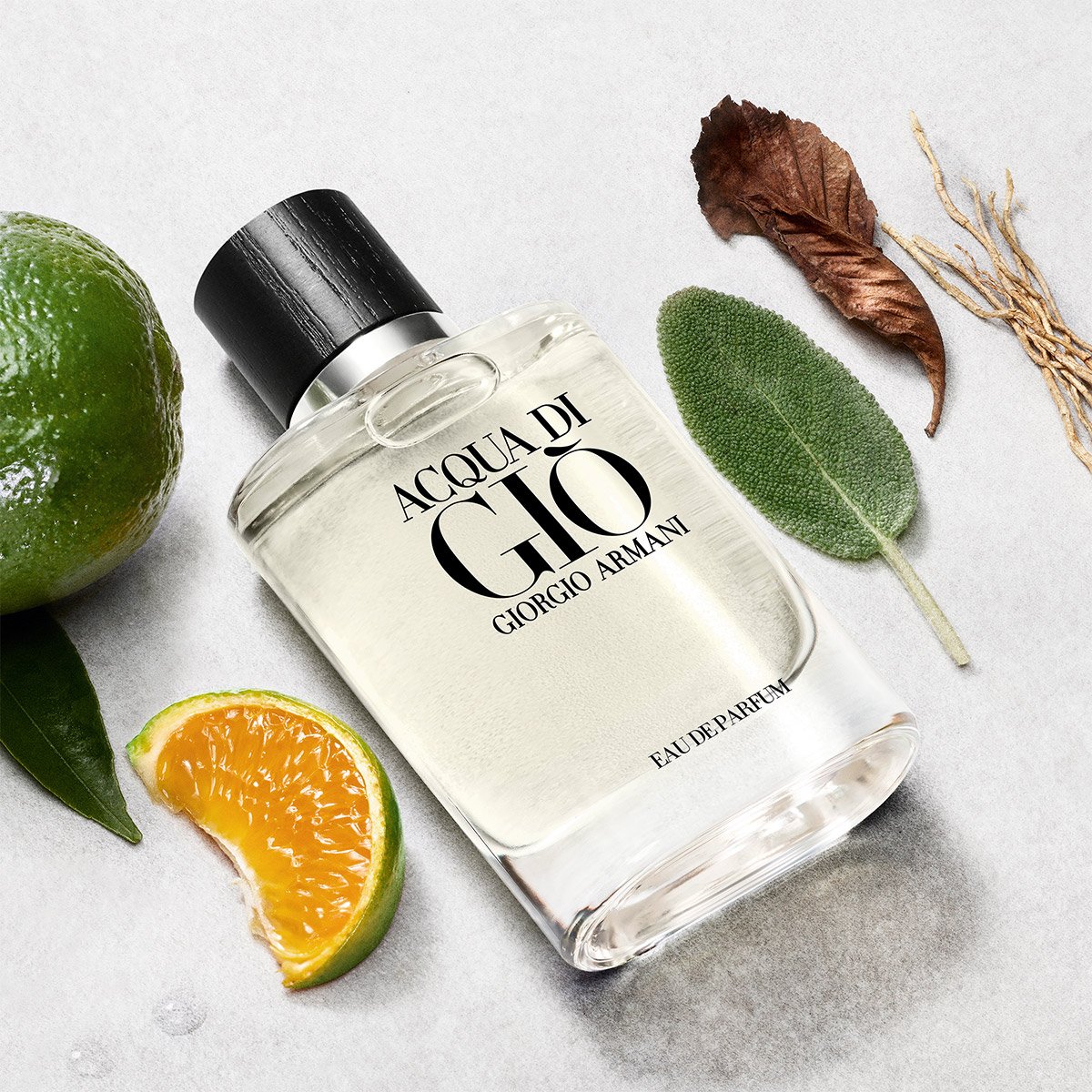 Aqua de gio sears hotsell