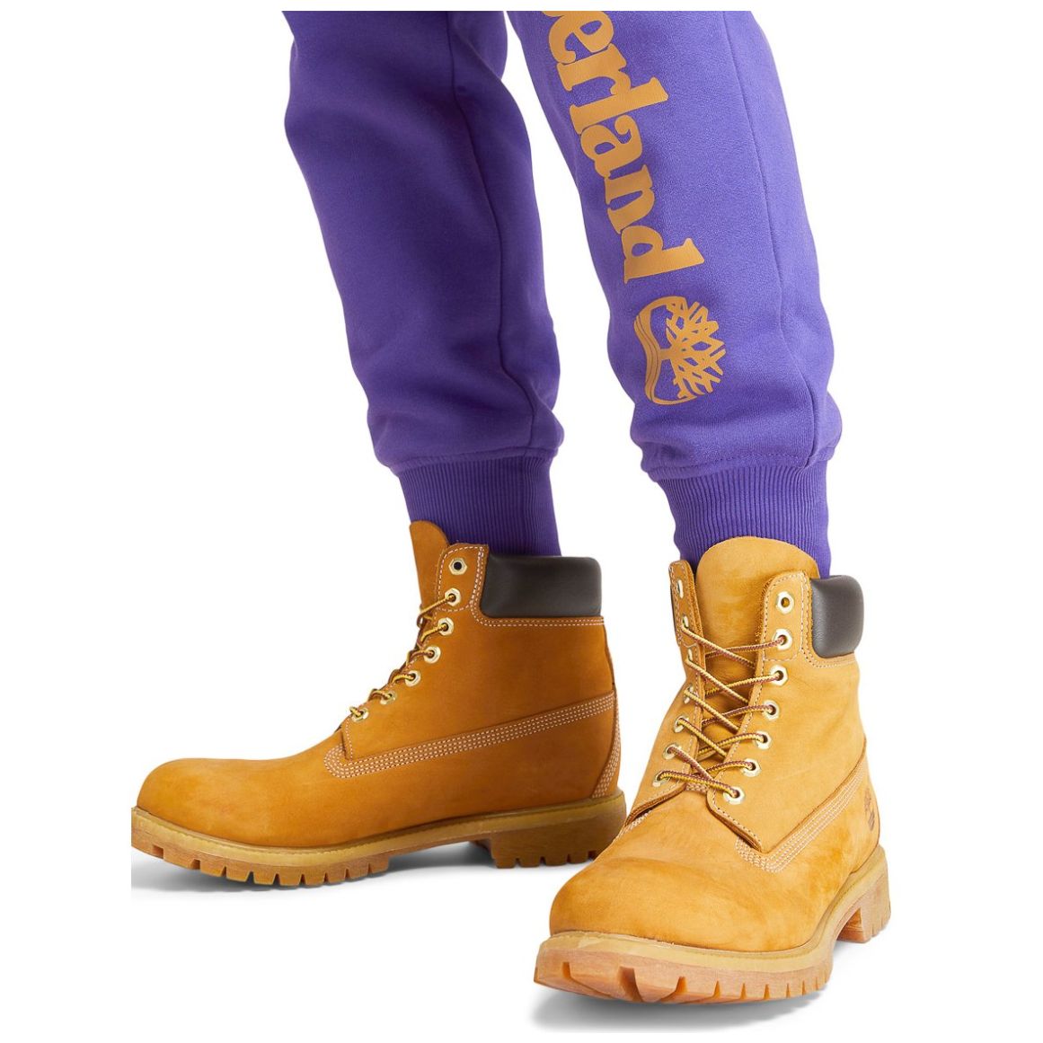 Sears 2024 timberland pro