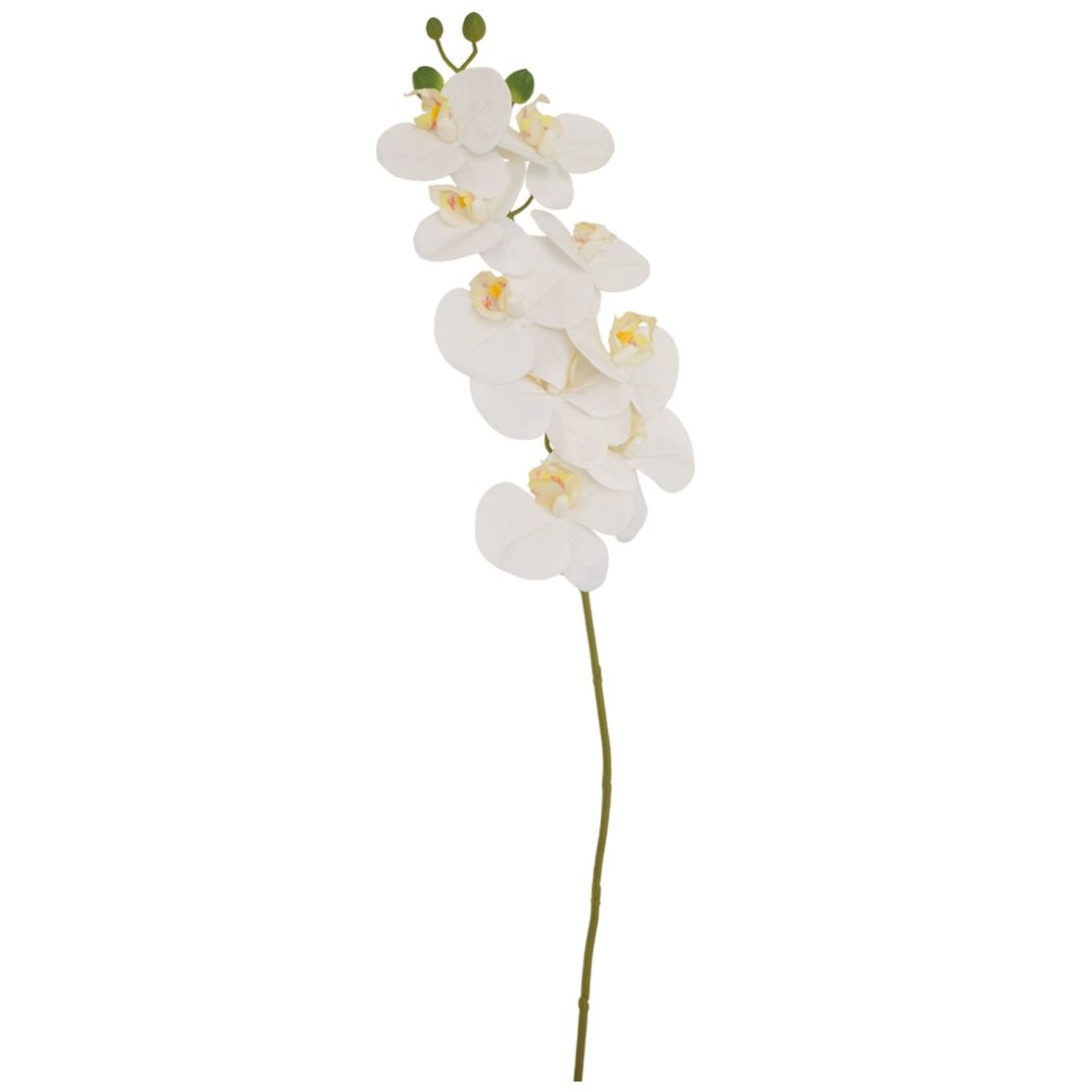 Orquídea 82 Cm Blanco Lottus