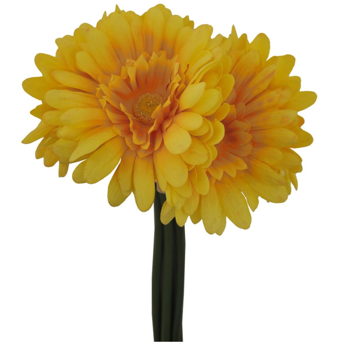 Ramo Gerberas 30 Cm Amarillo Lottus