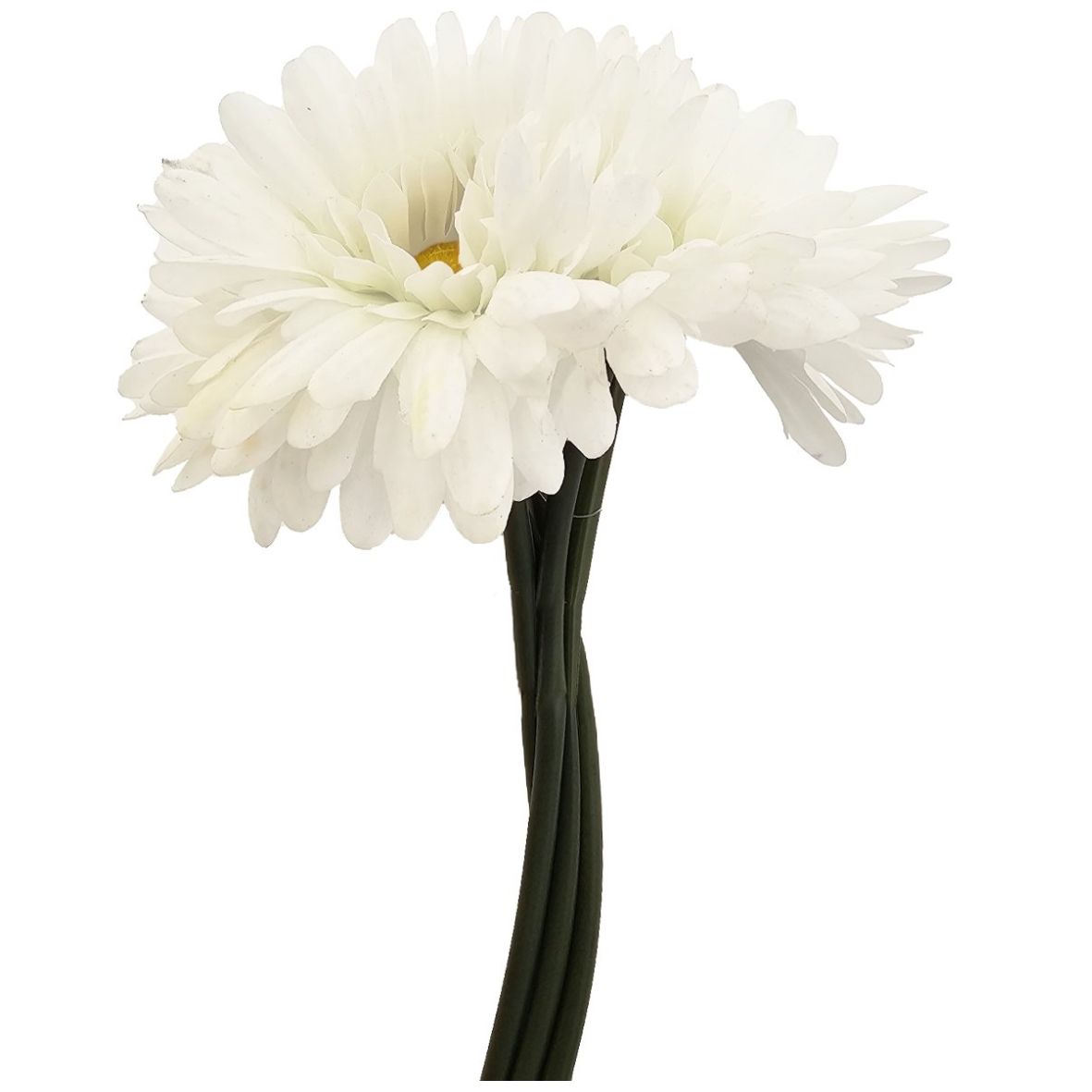 Ramo Gerberas 30 Cm Blanco Lottus