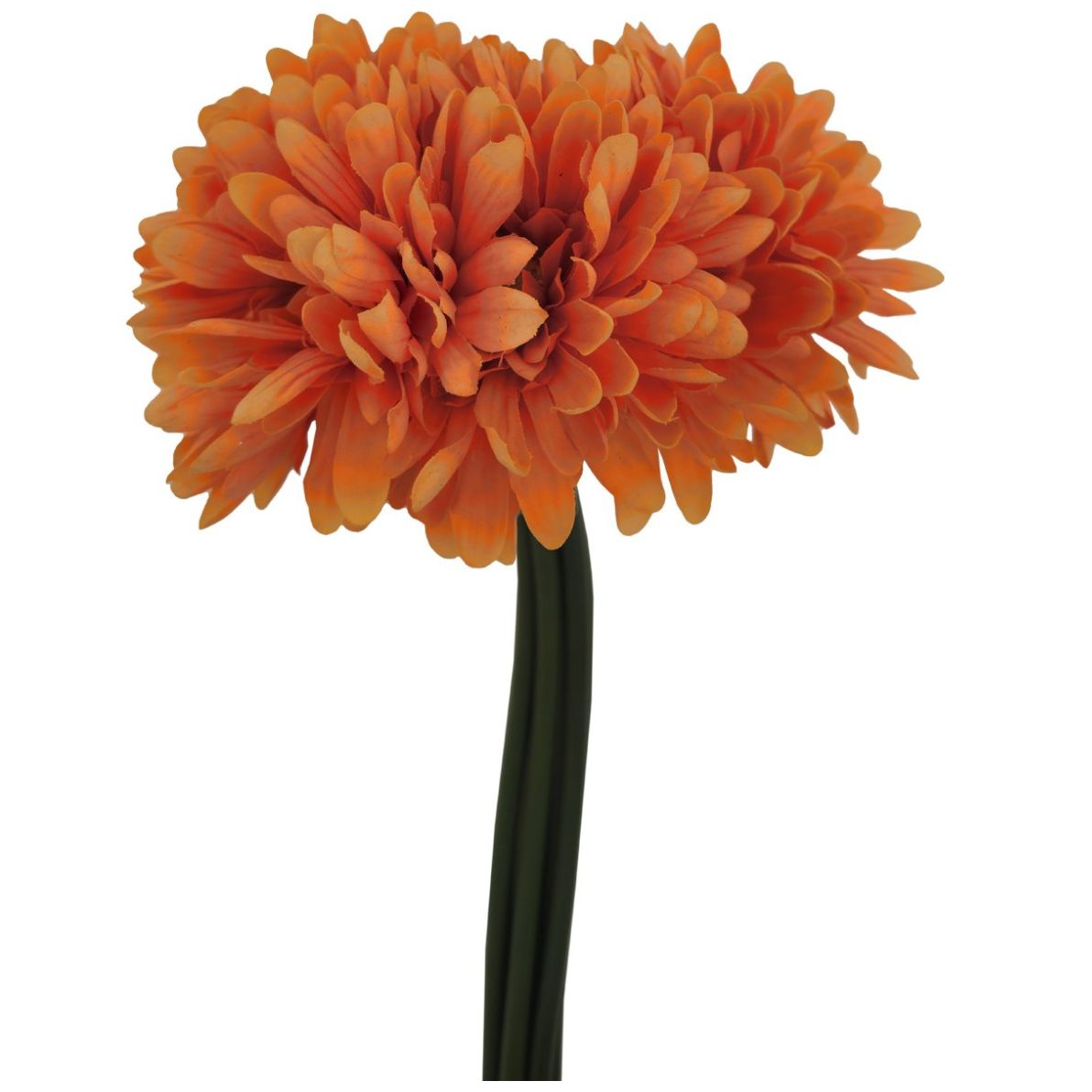 Ramo Gerberas 30 Cm Naranja Lottus