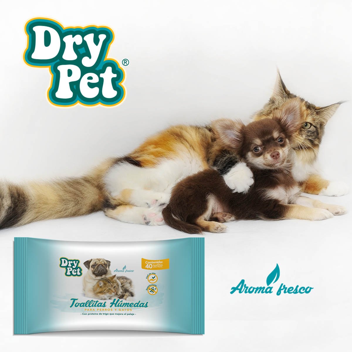 Toallitas Limpiadoras P/perro Y Gato 40 Pzas Dry Pet Mod. Fl7165