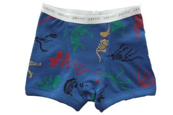 Boxer Cardigan Belgica 86Ba Azu Baby Creysi