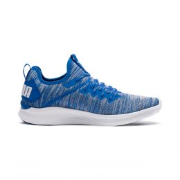 Tenis Ignite Flash Evoknit Puma - Caballero
