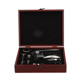 Juego De Vino 10 Piezas Gpm