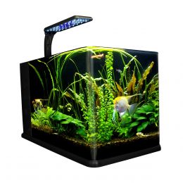 Acuario Nano Largo De 14 Lt Acuario Lomas